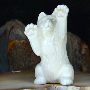 Katze aufrecht stehend