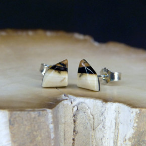 kleine Ohrstecker mit brauner Spitze