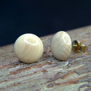 Bouton-Ohrstecker aus Mammut ca. 12mm
