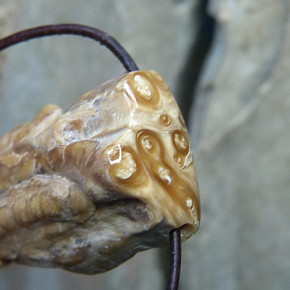 seltene "Erbsenwucherung" als Anhänger