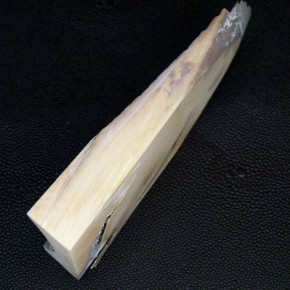 Mammut-Abschnitt ca. 120mm lang