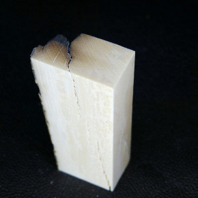 Mammut-Block mit Rinde ca. 66 x 17 x 22 bis 29mm