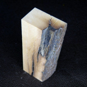 Mammut-Block mit Rinde ca. 66 x 17 x 22 bis 29mm
