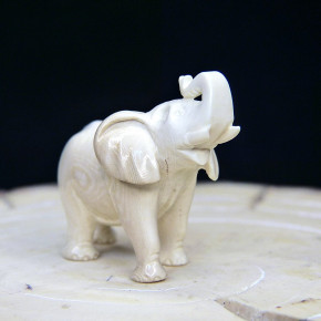 kleiner Elefant aus Mammut