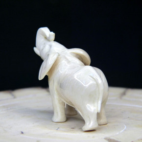 kleiner Elefant aus Mammut
