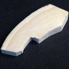 Mammut-Querschnitt mit Rinde ca. 65 x 25 x 11 - 7mm