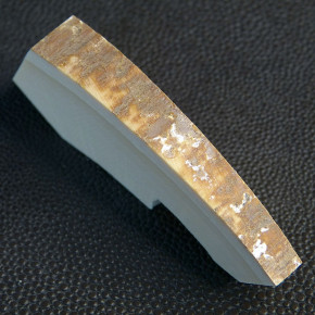Mammut-Querschnitt mit Rinde ca. 65 x 25 x 11 - 7mm