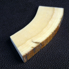Mammut-Querschnitt mit Rinde ca. 65 x 23 x 10 - 2,6mm