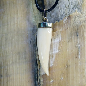Zahnanhänger mit Rindenfärbung in Goldfassung 333/-